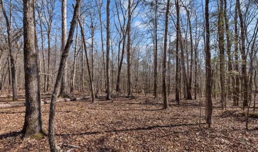 17-web-or-mls-P1023089