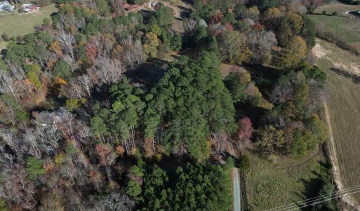 dji_fly_20241125_141350_154_173257004266