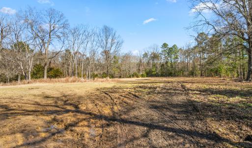 Pasture