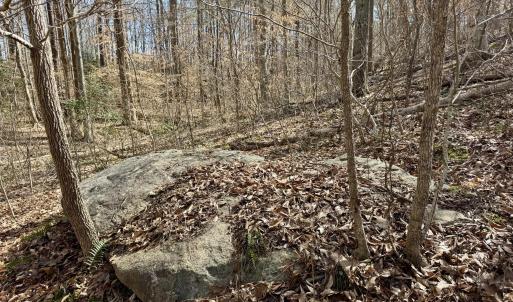 Boulder near creek