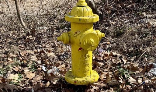 Fire Hydrant on site