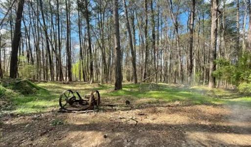 2414 Wooded