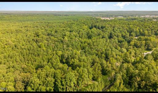 1157 Hillsboro Photo 5