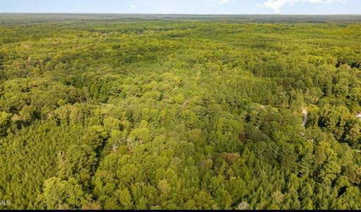 1157 Hillsboro Photo 8