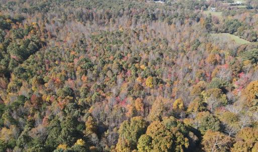 DJI_0298