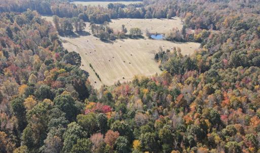 DJI_0295