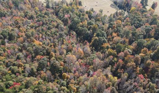 DJI_0290