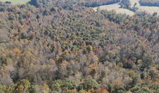 DJI_0286