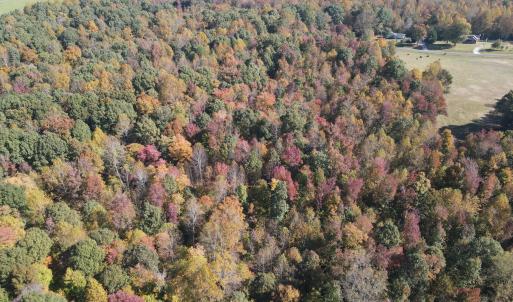 DJI_0311