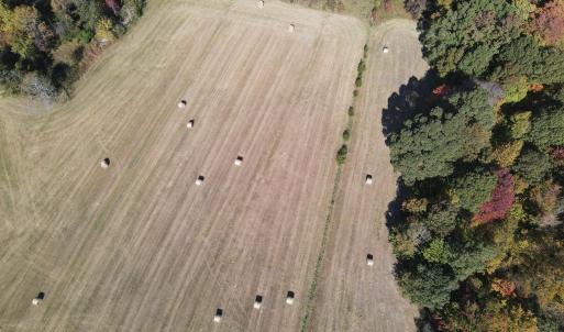 DJI_0310
