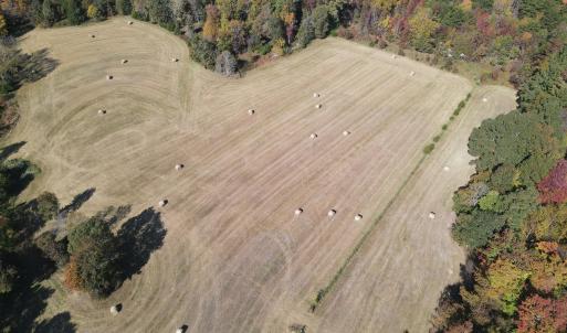 DJI_0309