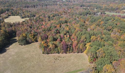 DJI_0308