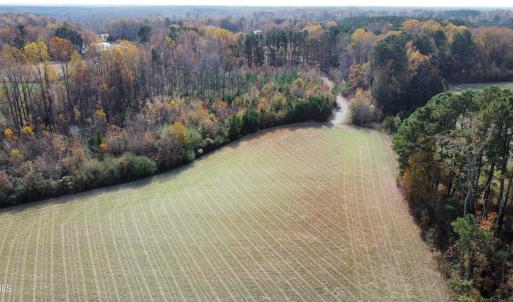 Field View