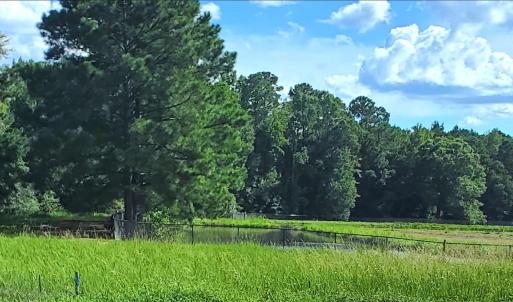 Barbour Farms