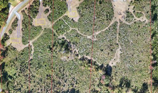 650DoyleCoxSubdivisionMap_2024-10-18_Map