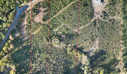 650DoyleCoxSubdivisionMap_2024-10-13_Map