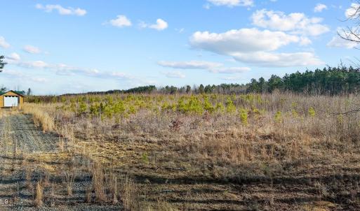 5-web-or-mls-DJI_20250311094626_0760_D