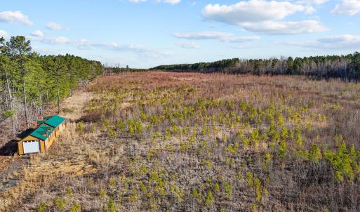 6-web-or-mls-DJI_20250311094640_0761_D