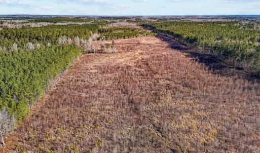 9-web-or-mls-DJI_20250311094804_0767_D