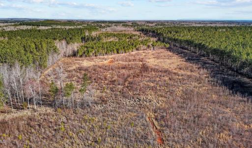 10-web-or-mls-DJI_20250311094832_0768_D