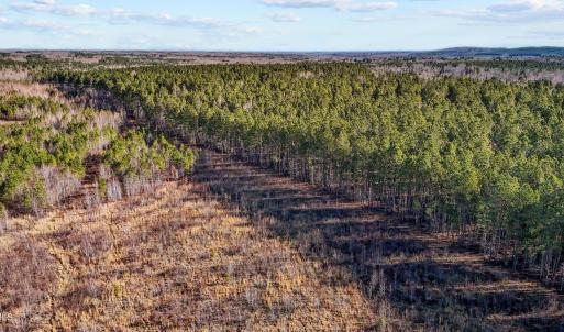 12-web-or-mls-DJI_20250311094855_0770_D