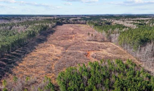 13-web-or-mls-DJI_20250311094920_0771_D