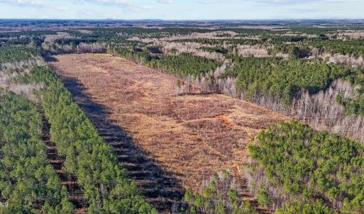 15-web-or-mls-DJI_20250311094958_0773_D