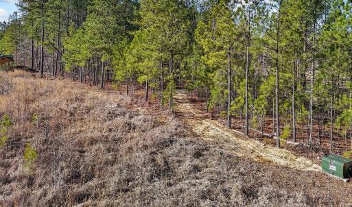 17-web-or-mls-DJI_20250311095108_0775_D