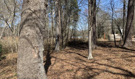 Watkins Pond Behind the slip