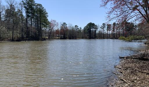 Watkins Pond Straight