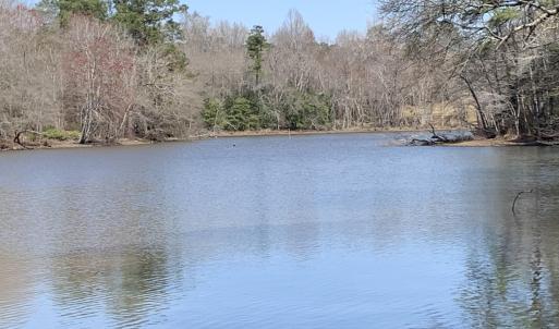 Watkins Pond Curve 1