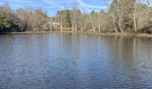 Watkins Pond 2