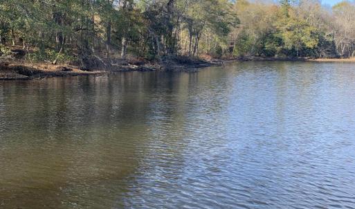 Watkins Pond 3