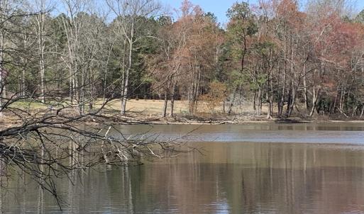 Watkins pond wood 1