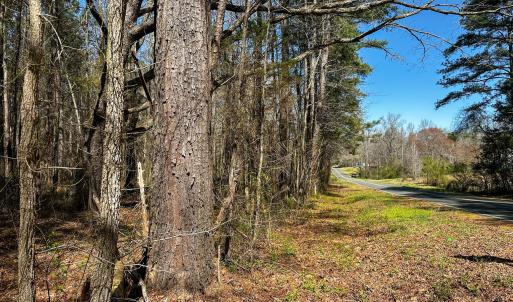Brower Road 8