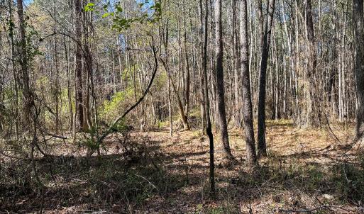 Brower Road 11