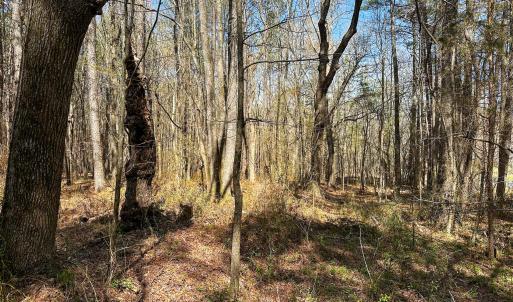 Brower Road 12