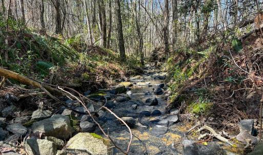 Brower Road 13