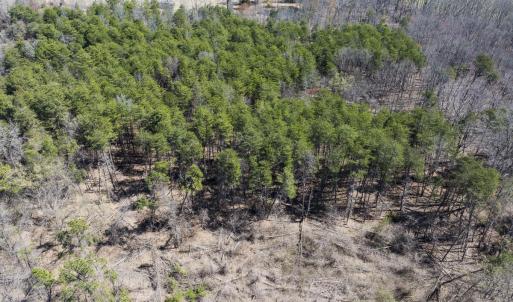 Caswell Co. NC 7.365-Skyview-Lot 5-23