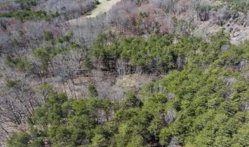 Caswell Co. NC 7.365-Skyview-Lot 5-32