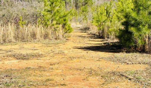 652 Richardson Rd picture 1