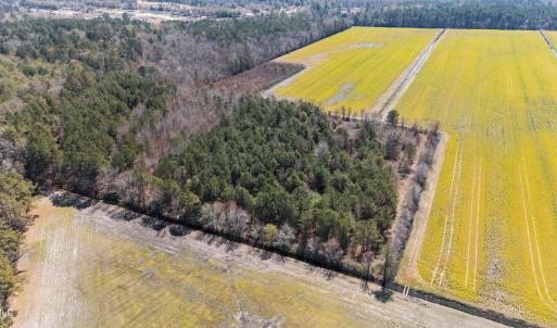 9-web-or-mls-DJI_20250323134901_0180_D