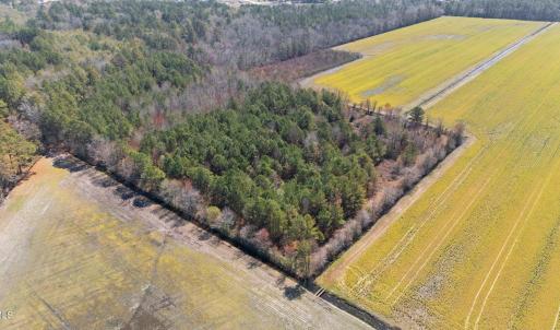 10-web-or-mls-DJI_20250323134916_0181_D