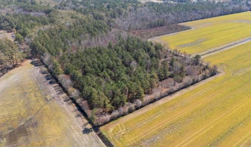 11-web-or-mls-DJI_20250323134925_0182_D