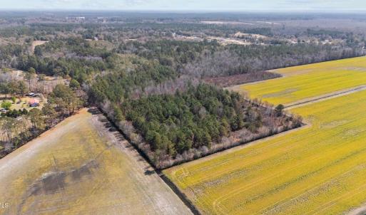 15-web-or-mls-DJI_20250323135031_0187_D