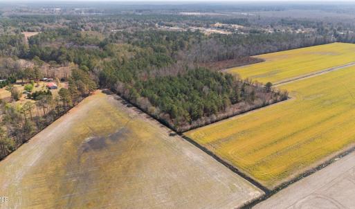 16-web-or-mls-DJI_20250323135039_0188_D