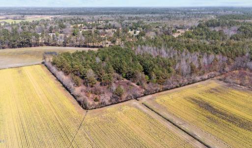 5-web-or-mls-DJI_20250323134619_0168_D