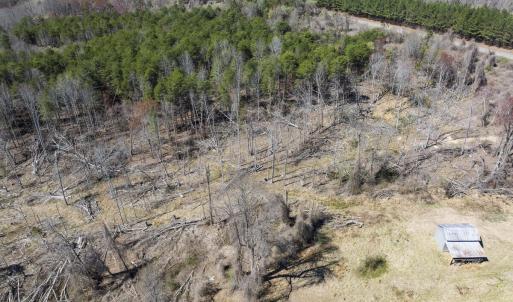 Caswell Co. NC 8.64-Skyview-Lot 6-32