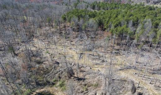 Caswell Co. NC 8.64-Skyview-Lot 6-35