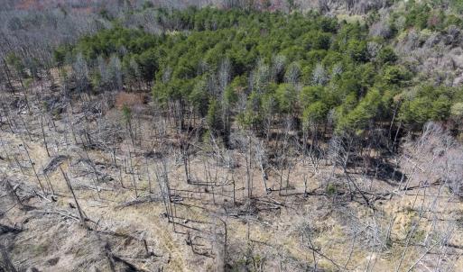 Caswell Co. NC 8.64-Skyview-Lot 6-37